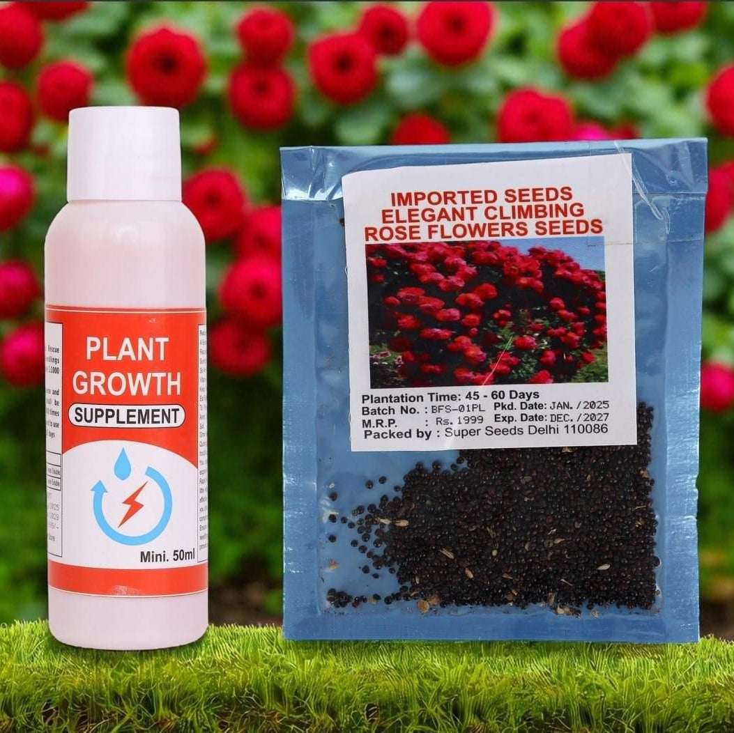 Elegant Climbing Rose Flower Seeds